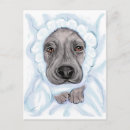 Recherche de partie dannée Dog