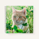 Recherche de yeux verts carnets Chat