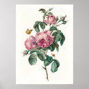 Zoek naar botanische kunst Schilderij
