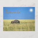 Recherche de tanzanie cartes postales Savane