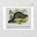 Recherche de 1813 cartes postales Bois