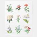 Recherche de illustrations vintages Floral