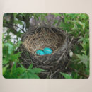 Zoek naar nest dekens Blauw