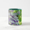 Recherche de glycines tasses Fleur