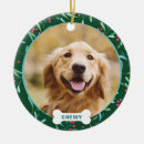 Zoek naar huisdieren ornamenten Kerstmis