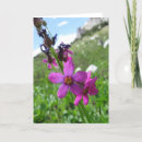 Zoek naar nota kaarten Wildflowers