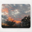 Recherche de paysage nature tapis souris Arbre