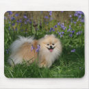 Recherche de jacinthe tapis souris Position