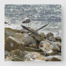 Recherche de mouettes horloges Oiseau