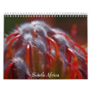 Zoek naar zuid afrika kalenders Olifanten