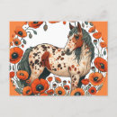Recherche de appaloosa cartes postales Chevaux