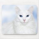 Recherche de angora tapis souris Amoureux des chats