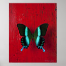 Zoek naar voor muur posters Natuur