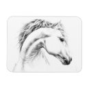 Recherche de dessin de cheval magnets Équestre