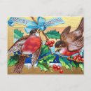 Zoek naar merry christmas bird briefkaarten Rode vogel