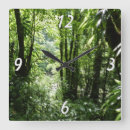 Recherche de vert forêt horloges Nature