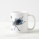 Recherche de scarabée tasses Entomologie
