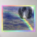 Zoek naar huisdieren gedichten posters For her