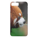 Zoek naar rode panda iphone hoesjes Beer