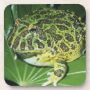 Recherche de crapaud dessous de verres Drôle