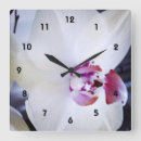 Recherche de orchidées horloges Fleur