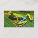 Recherche de jungle tropicale cartes visite Nature