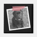 Recherche de propre conception magnets Personnalisation