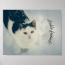 Recherche de animaux mignon posters Minou