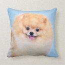 Recherche de pomeranian coussins Animal familier