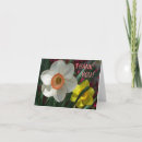 Recherche de daffodil remerciements cartes Fleur