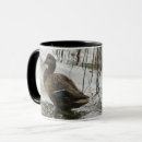 Zoek naar eend mokken Vogel