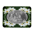 Recherche de abeilles magnets Pour elle