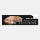 Recherche de humour chat voiture autocollants Drôle de chat