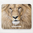 Recherche de chats jungle tapis souris Grand chat