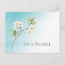 Recherche de aqua cartes postales Inspirant