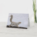 Recherche de écureuil noël cartes Hiver