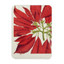 Recherche de 21ème magnets Fleurs
