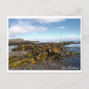 Recherche de varech cartes postales Voyage
