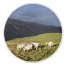 Recherche de montagnes boutons et poignées de porte Baleines