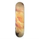Recherche de antiquité skateboards Antique