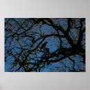 Zoek naar kraaien kunst Blauw