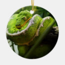 Recherche de exotique ornements Animaux