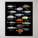 Zoek naar biologie posters Dier