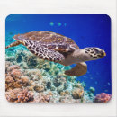 Recherche de mousepad de tortue électronique Beau