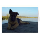 Zoek naar herman briefkaarten Canine