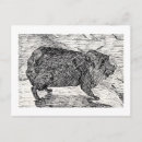 Recherche de syrien cartes postales Animal