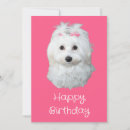 Recherche de chien maltais vœux cartes Blanc