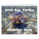 Recherche de tortue calendriers Hawaii