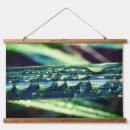 Recherche de gouttelette art Plante