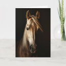 Zoek naar palomino fotografie Mooi